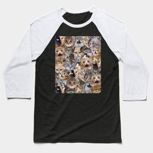 Cats and more Cats Baseball T-Shirt